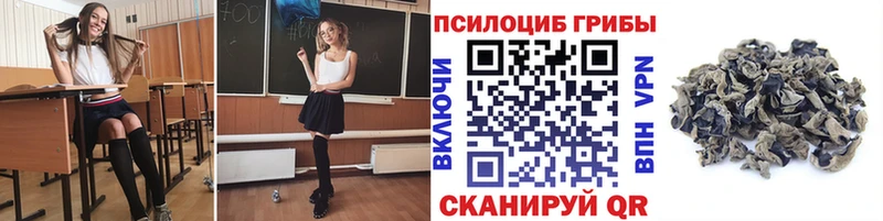 наркота  гидра как войти  Псилоцибиновые грибы прущие грибы  Скопин 